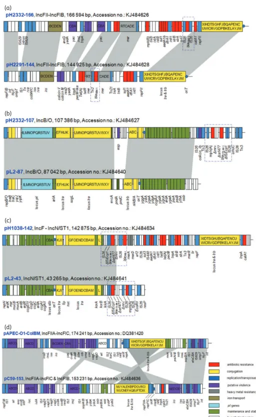 Figure 1. Comparison of major structural features of (a) plasmids pH2332-166 and pH2291-144; (b) plasmids pH2332-107 and pL2-87; (c) plasmids pH1038-142 and pL2-43; and (d) pC59-153 in comparison with plasmid pAPEC-O1-ColBM (accession no