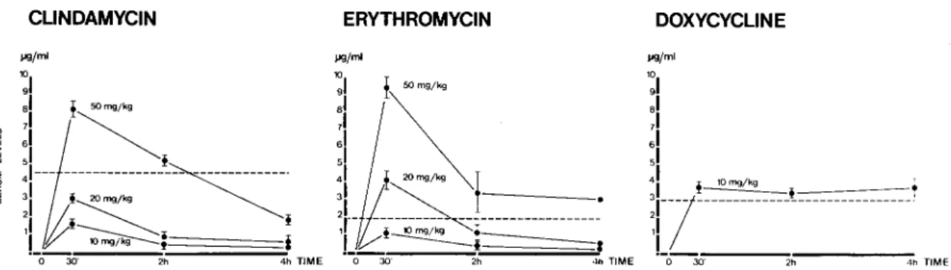 Figure 2. Serum levels of clindamycin, erythromycin, and doxycycline 0.5,2, and 4 hr after single iv injections in rats