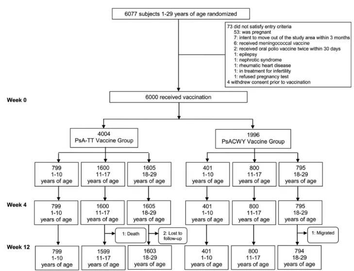 Figure 1. Study population. Abbreviations: PsACWY, group A, C, W, Y meningococcal polysaccharide vaccine; PsA-TT, group A meningococcal polysac- polysac-charide-tetanus toxoid conjugate vaccine.