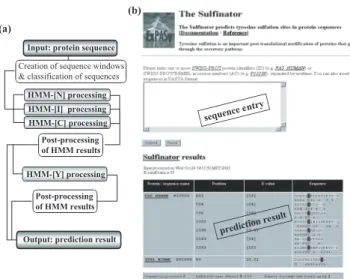 Fig. 1. The general architecture of the Sulfinator is shown in a flowchart (a). Screenshots from the Sulfinator web page illustrate the query form with input options available for the user (top) and the format of an output is shown (bottom) (b).