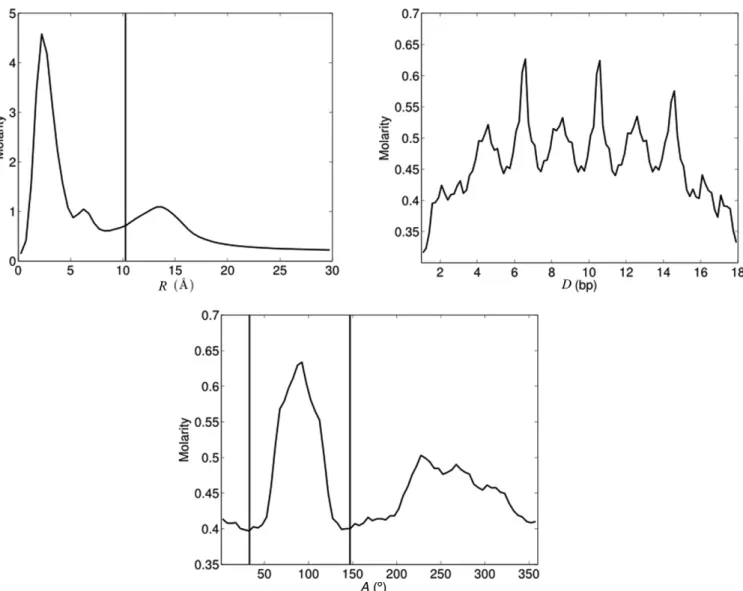 Figure 6. 1D K + distributions averaged over the 1 ␮ s AGCT trajectory. The vertical line in the R plot indicates the radial position of the phosphorus atoms, while the shorter distance between the two vertical lines in the A plot delimits the minor groove
