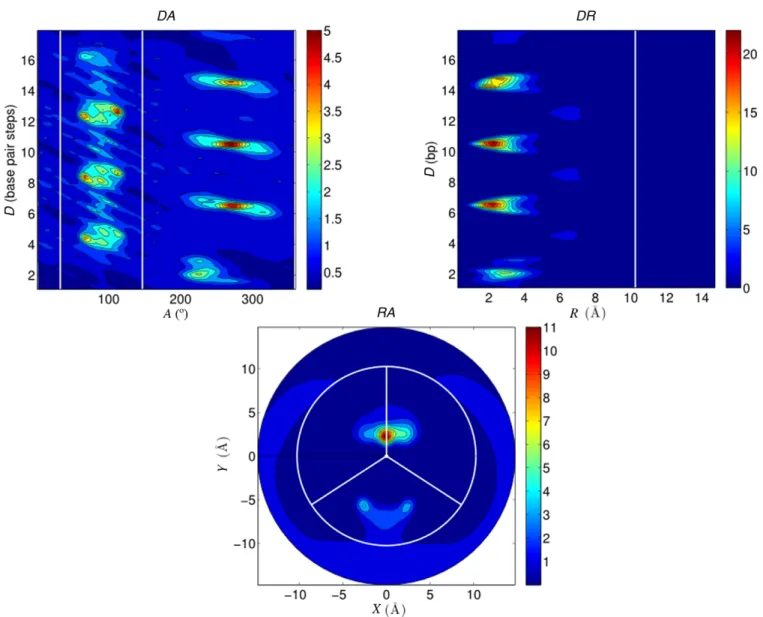 Figure 7. 2D K + distributions averaged over the 1 ␮ s AGCT trajectory: DA plane (top left), DR plane (top right), RA plane (bottom)
