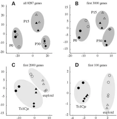Figure 4. PCA on 8287 expressed genes from mouse genome U74Av2 Affymetrix microarrays at P0, P15 and P30 (A) and on subsets of genes ranked according to trisomic versus euploid state using a t-test: the first 3000 genes (B), 2000 genes (C) and 100 genes (D