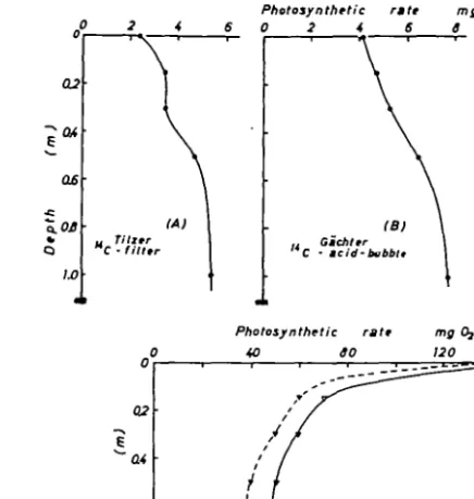 Fig. 3. Algal pond: profiles of primary production from  14 C, "C and oxygen methods.