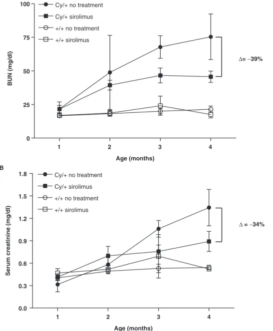 Fig. 2. Blood urea nitrogen (BUN) (A) and serum creatinine (B) levels were measured monthly in all rats