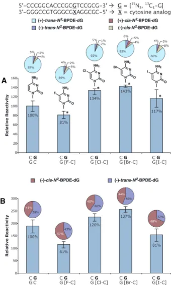 Figure 4. Inﬂuence of C-5 halogen substituents on cytosine on the yields of (±)-anti-BPDE or ()-anti-BPDE-induced N 2 -BPDE-dG adducts at the base paired guanine