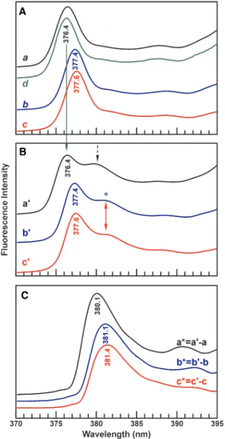 Figure 7. Low temperature (77 K) ﬂuorescence origin band spectra of trans-anti BPT obtained in the absence and in the presence of DNA duplexes containing a central C:G, Me C:G or dPER:G base pair.