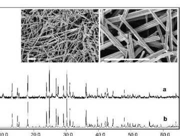 FIG. 11. XRD pattern and representative SEM images (inset; scale bar