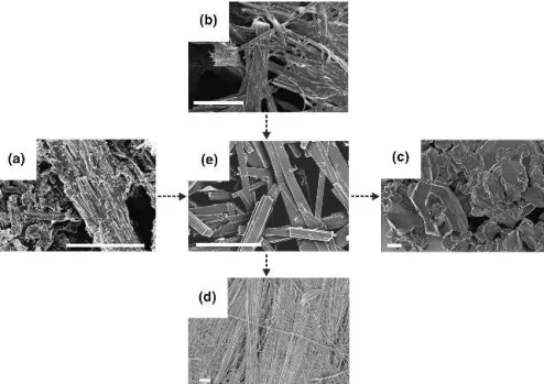 FIG. 3. SEM images (scale bar ⳱ 3 ␮ m) demonstrating the influence of the hydrothermal parameter variations (a–d) on the morphology of lithium vanadate fibers compared with the products obtained under standard conditions [initial Li:V-ratio ⳱ 0.38, 6 days,