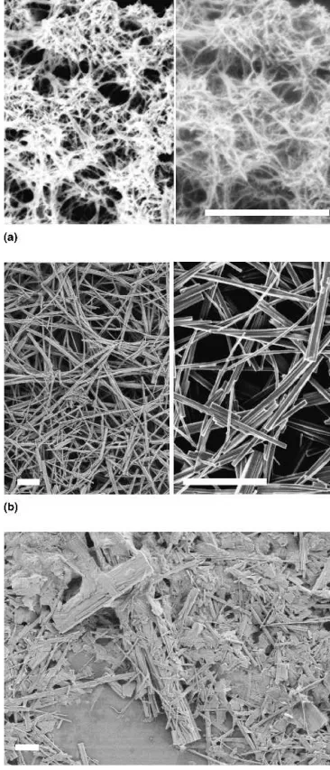 FIG. 7. SEM images (scale bar ⳱ 1 ␮ m) monitoring the influence of the reaction parameters on the hydrothermal formation of  bannerman-ite fibers: (a) precursor material precipitated at room temperature through the addition of NaVO 3 to a VOSO 4 solution, 