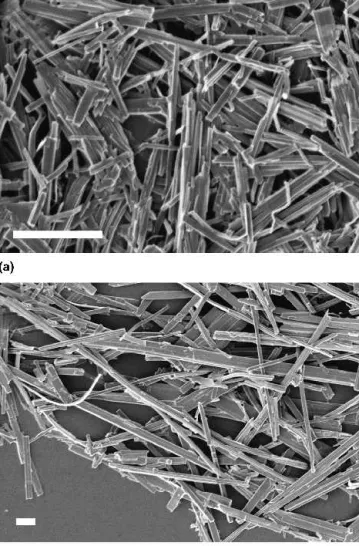 FIG. 8. SEM images (scale bar ⳱ 1 ␮ m) of fibrous magnesium vana- vana-dates grown in the hydrothermal Mg(OH) 2 /V 2 O 5 system starting from initial Mg:V-ratios of (a) 0.18 and (b) 0.38.