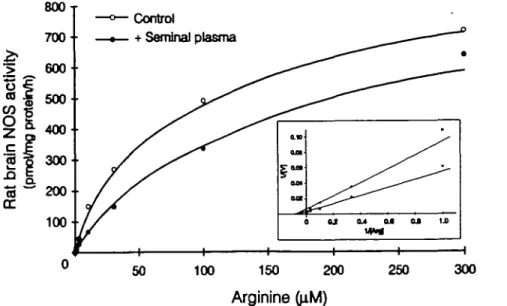 Figure 4. Effect of human seminal plasma (HSP) on rat brain nitric oxide synthase (NOS) A"™ and  V ^ 
