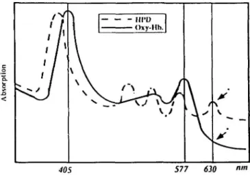 Fig. 3. Oxyhaemoglobin (Oxy-hb) and haematoporphyrin derivative (HPD) spectra: HPD exhibits an absorption peak at 630 nm