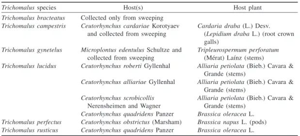 Table 1. List of hosts and host plants (all Brassicaceae except T. perforatum (Asteraceae)) from which the various Trichomalus species were obtained.