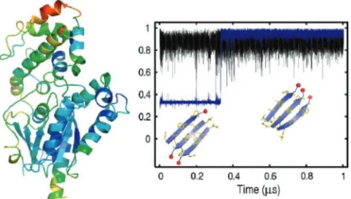 Fig. 1. (Left) Ribbon diagram of the -subunit of protein Gq colored according to the length (red: large; green: intermediate; blue, small) of the atomic component of the first eigenvector on a 6-ns MD run by the Wordom PCA tool and displayed by Pymol (DeLa