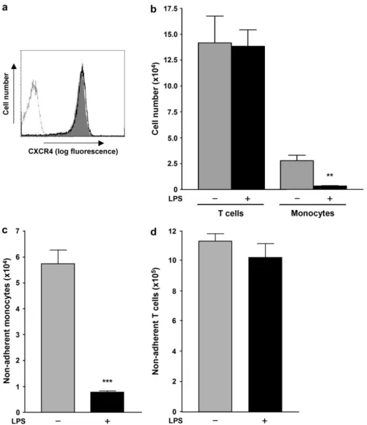 Fig. 1. LPS inhibits the transendothelial migration, increases the adhesive properties of monocytes but does not affect expression of chemokine receptor CXCR4
