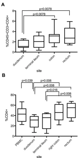 Figure 1. CD4 contents indicated as the percentage of all cells (A) or the percentage of T cells (B ) that express CD4, as measured by flow cytometry on peripheral blood mononuclear cells (PBMCs) or suspensions of total gut cells