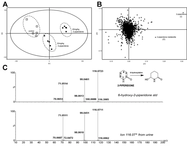 FIg. 5.  Identification of 6-hydroxy-2-piperidone as a 2-piperidone metabolite. (A) Separation of control WT (□) mice from the WT mice (■) treated with 20 and  40 mg/kg of 2-piperidone in the scores plot of a PLS-DA model on the urine metabolomes