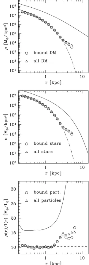 Figure 2. Upper panel: the density distribution of DM particles in the final stage of the dwarf