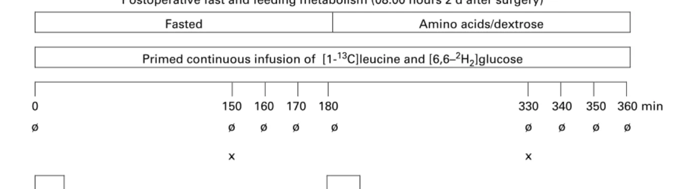 Fig. 1. Time course of the infusion of isotopes and collection of plasma and expired air samples (Ø) performed by indirect calorimetry ( h ), and collection of plasma for the determination of metabolic substrates and hormones ( £ ) in the fasted state and 