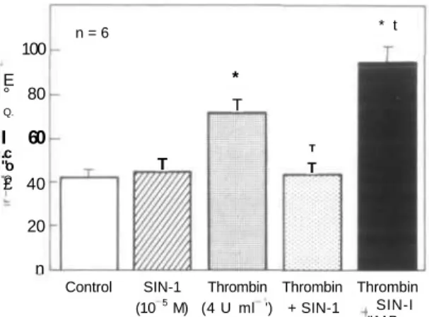 Figure 6 Modulation of the production of immunoreactive endothelin (ir-endothelin) by the nitrovasodilator SIN-1