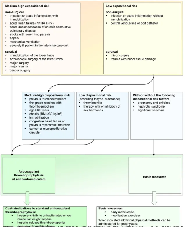 Figure 2 Pop-up window showing guidelines for assessing a patient ’ s venous thromboembolism (VTE) risk