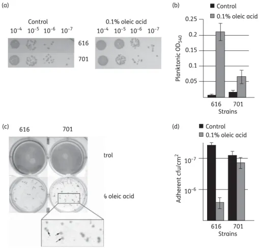 Figure 1. Biofilms of strains 616 and 701 under oleic acid stress and bacterial quantification