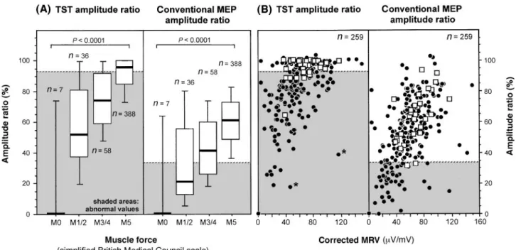Fig. 4 Relationships between muscle force and amplitude ratios obtained by TST and conventional MEPs