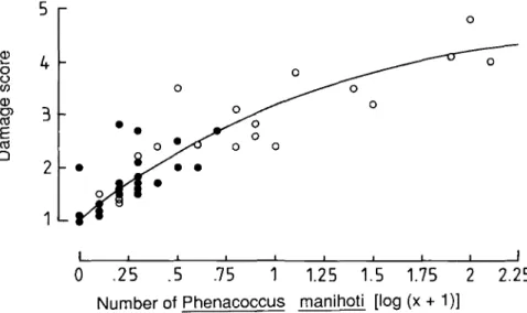 Fig. 2.—Damage score of cassava shoot tips (parameter 24, Appendix and text) as a function of present Phenacoccus manihoti density in 60 fields in Ghana and Ivory Coast in  February-March 1986