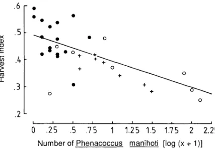Fig. 3.—Harvest index (ratio of tuber yield to total weight) at different densities of Phenacoccus manihoti in 24 fields in the savanna zones of Ghana and Ivory Coast in February-March 1987
