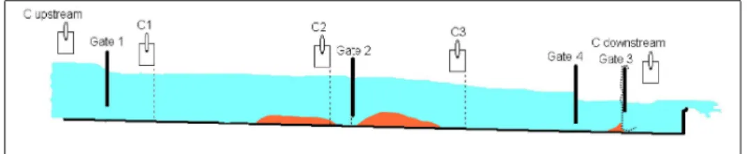 Figure 3: Micro-canal experiments: diagram of the experimental setup used for the sedimentation experiments.