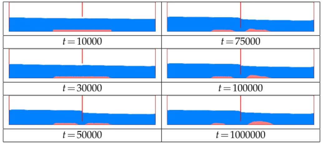 Figure 6: LB simulations: reproduction of the micro-canal experiments shown in Fig. 5