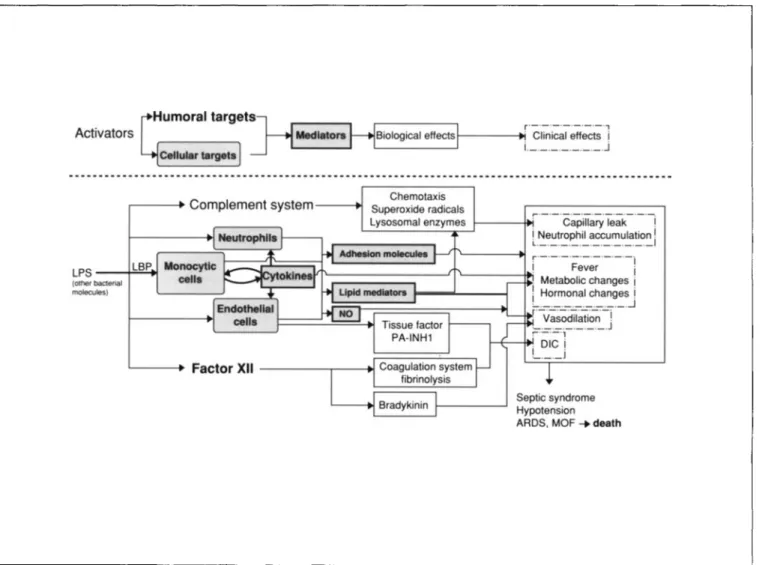 Figure 1. Interaction of humoral factors and cytokinesin the pathogenesis of septicshock
