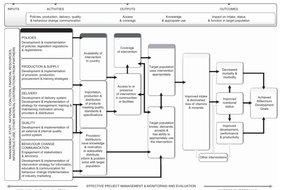 Fig. 1 WHO/CDC logic model for micronutrient interventions in public health