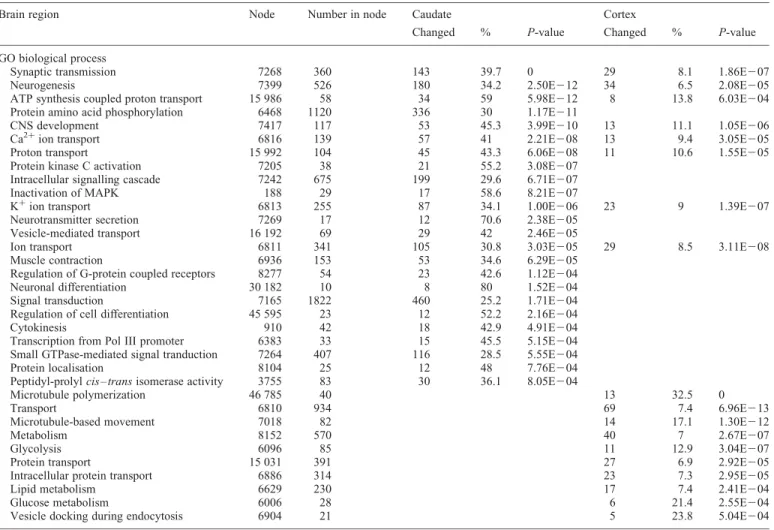 Table 5. Biological processes with the highest proportions of dysregulated probe sets in HD caudate and BA4 cortex