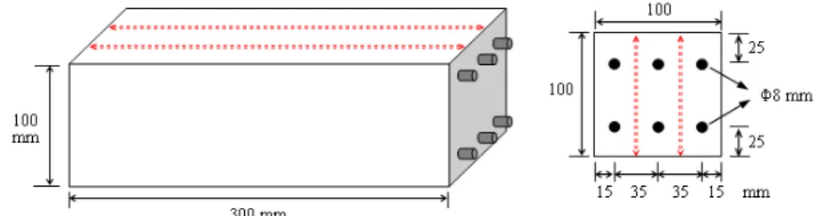 Figure 1:  Position of the steel reinforcement in the mortar prisms and cutting lines
