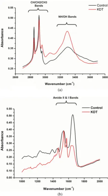 Figure 1b compares the average spectra recorded from control trapezius tissue and trapezius tissue from the  an-cient remains in the “fingerprint” region