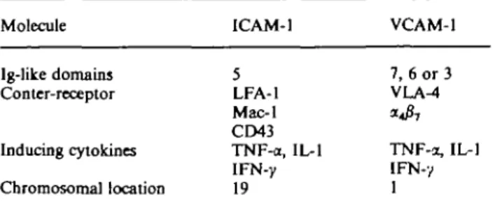 Table 1 summarizes the characteristics of two major renal CAMs, ICAM-1 and VCAM-1. Intercellular adhesion molecule-1 (ICAM-1) is a monomeric unpaired cell-surface glycoprotein of 76—114 kDa, and is found in many different cell types in various tissues.