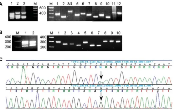 Figure 1 Gel-electrophoresis analyses of multiplex PCR and single-exon PCR.