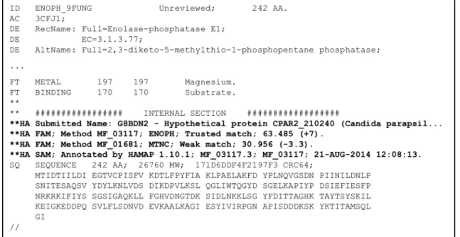 Figure 3. Partial output of a HAMAP-Scan showing the additional information provided next to the actual annotations