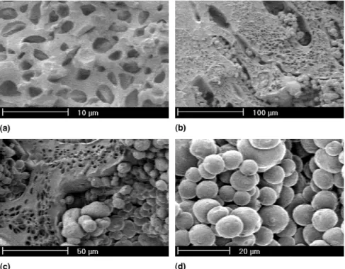 FIG. 6. Microstructure along the axis of the bar: (a) h ⳱ 29.5 mm; (b) h ⳱ 30 mm; (c) h ⳱ 30.3 mm; (d) h ⳱ 30.8 mm.