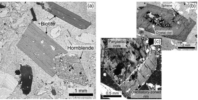 Fig. 6. Hornblende and biotite phenocrysts in Fish Canyon magma. (a) Euhedral to subhedral hornblende and biotite phenocrysts in the Pagosa Peak Dacite (Bfc 171; plane-polarized light)