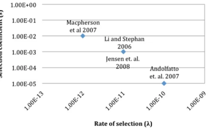 Figure 1. Relationship between the strength and rate of selection in Drosophila. The estimated values for the strength and rate of selection for various Drosophila data sets (see text).