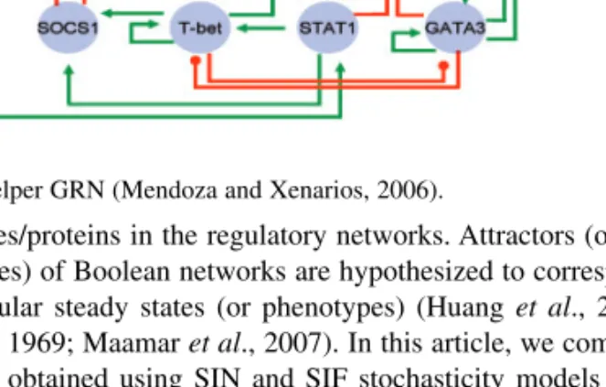Fig. 3. T-helper GRN (Mendoza and Xenarios, 2006).