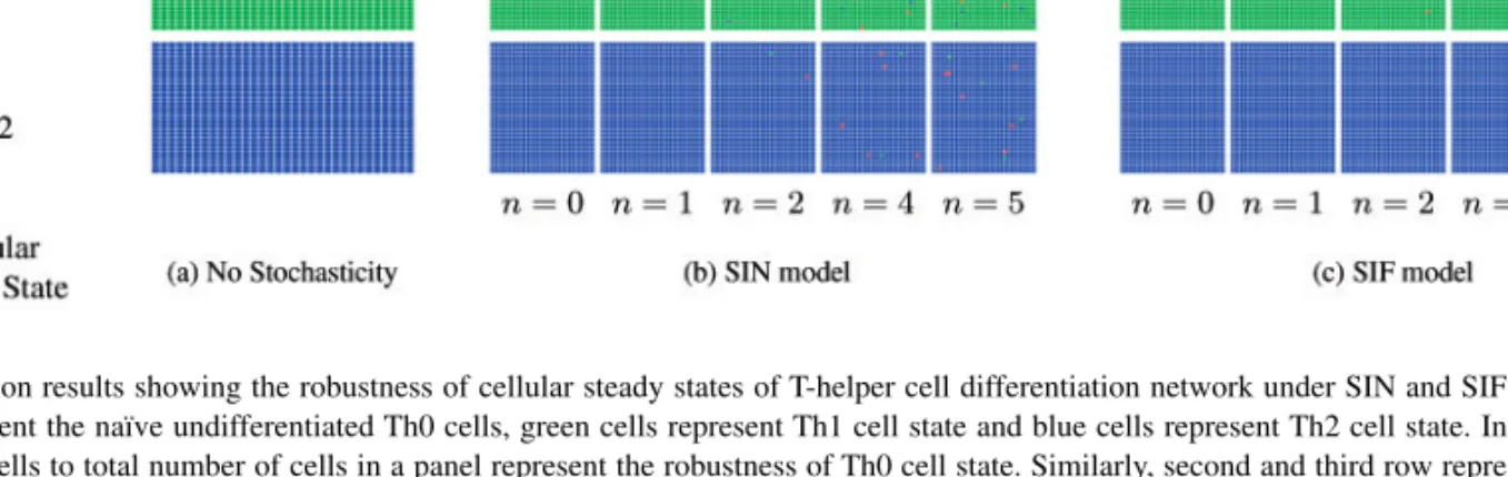 Fig. 5. Simulation results showing the robustness of cellular steady states of T-helper cell differentiation network under SIN and SIF stochasticity models.