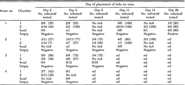 Table 1. Infection of I. ricinus nymphal ticks fed as larvae on mice together with B. biirgdorferi-infuvlcil nymphs and isolation of spirochetes from mice by culturing ear biopsies