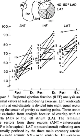 Figure 1 Regional ejection fraction (REF) analysis and normal values at rest and during exercise