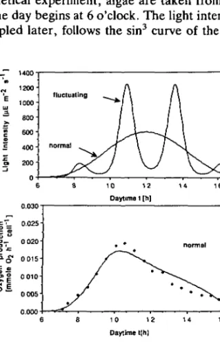 Fig. 5. Production rate P(l) during two different 'model days' of 12 h: 'normal' day has a sin 3  light regime, 'fluctuating' day has four light maxima and roughly the same mean light intensity as the normal day (plot a)