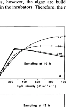 Figure 5a and reaches its maximum of / = 1000 at noon. Samples are taken at two instants, at 10 and at 12 o'clock when the light intensity at the selected depth is 650 and 1000, respectively