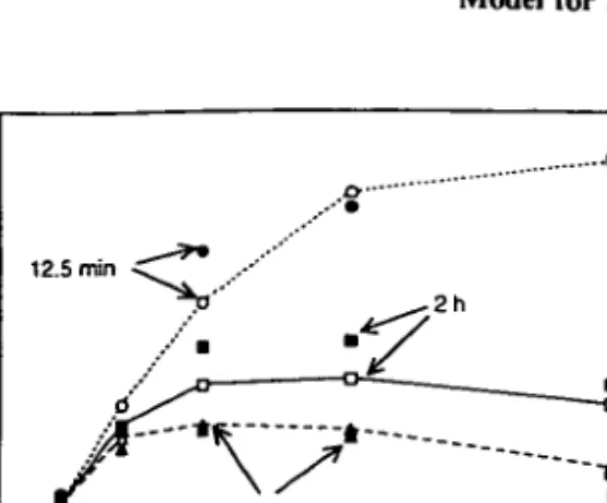 Fig. 4. Mean oxygen production rates P T  as a function of light intensity / for three different averaging periods T = 12.5 min, 2 h, 4 h